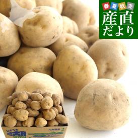 北海道より産地直送 JAとうや湖 じゃがいも 湖ばれいしょ「男爵」 Lサイズ 10キロ 馬鈴薯 ジャガイモ 送料無料