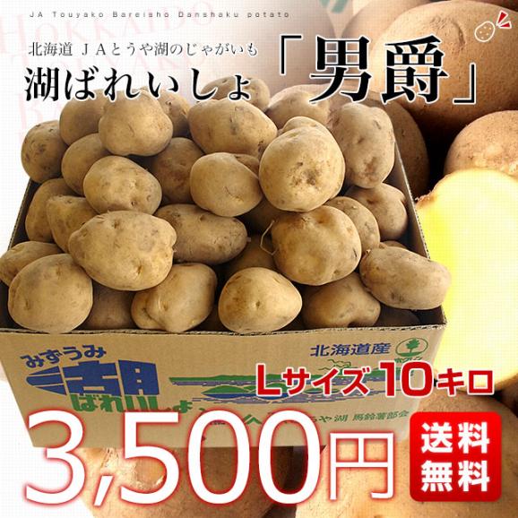 北海道より産地直送 JAとうや湖 じゃがいも 湖ばれいしょ「男爵」 Lサイズ 10キロ 馬鈴薯 ジャガイモ 送料無料03