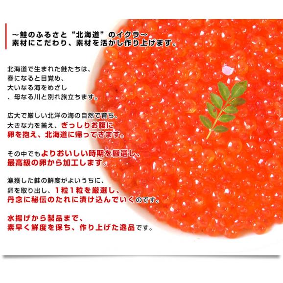 北海道産　いくら醤油漬 250g化粧箱　送料無料　イクラ 魚卵05