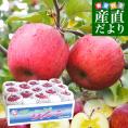 青森県より産地直送 JAつがる弘前 メジャー サンふじ 約3キロ（小玉13玉）送料無料 りんご 林檎　お歳暮 ギフト