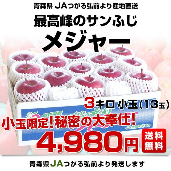 青森県より産地直送 JAつがる弘前 メジャー サンふじ 約3キロ（小玉13玉）送料無料 りんご 林檎　お歳暮 ギフト03