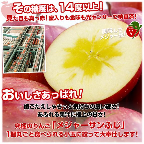 青森県より産地直送 JAつがる弘前 メジャー サンふじ 約3キロ（小玉13玉）送料無料 りんご 林檎　お歳暮 ギフト04