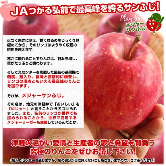 青森県より産地直送 JAつがる弘前 メジャー サンふじ 約3キロ（小玉13玉）送料無料 りんご 林檎　お歳暮 ギフト05