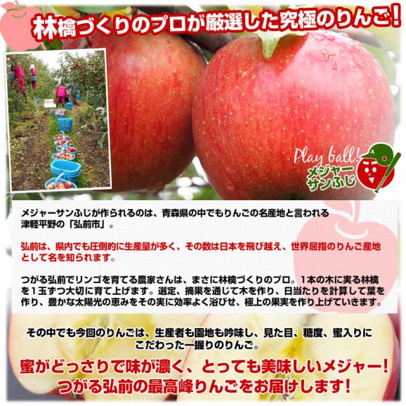 青森県より産地直送 JAつがる弘前 メジャー サンふじ 約3キロ（小玉13玉）送料無料 りんご 林檎　お歳暮 ギフト06