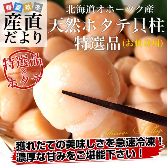 送料無料　北海道より直送　北海道オホーツク産　天然ホタテ貝柱　＜玉冷・お刺身用＞　1キロ（31から35玉）02
