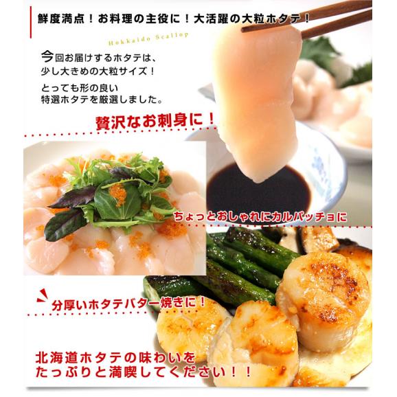 送料無料　北海道より直送　北海道オホーツク産　天然ホタテ貝柱　＜玉冷・お刺身用＞　1キロ（31から35玉）06