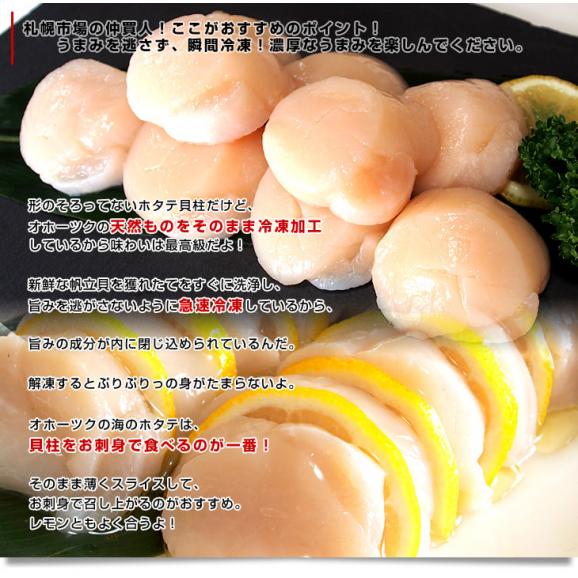 送料無料　北海道より直送　北海道オホーツク産　天然ホタテ貝柱　＜訳あり品＞　たっぷり500g05