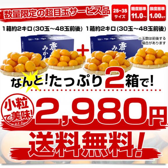 佐賀県より産地直送 JAからつ 小粒うまか美人 高糖度みかん 2Sから3Sサイズ 約2キロ×2箱 送料無料 U・M・K美人 蜜柑 温州ミカン03