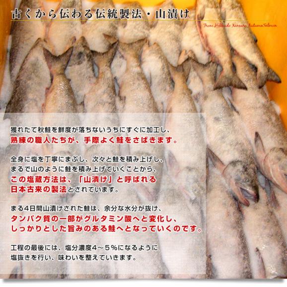 北海道から直送　山漬け寒風干し秋鮭　半身 姿切身　約1.3キロ 北海道サケ　シャケ 秋鮭04