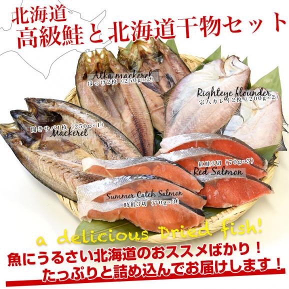 送料無料 北海道から直送 高級鮭と北海道干物セット (5種:ホッケ2枚、宗八カレイ2枚、開きサバ1枚、紅鮭3切、時鮭3切)05