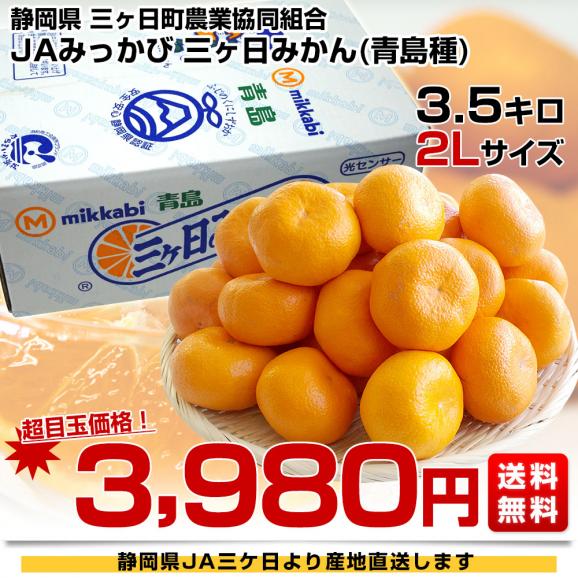 早割クーポン！ 静岡県より産地直送 JAみっかび 三ケ日みかん (青島種) 2Lサイズ 果物