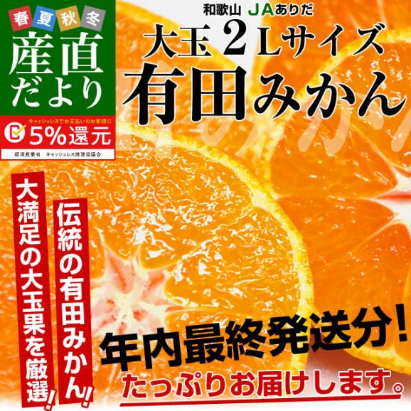 送料無料 和歌山県産 JAありだAQ中央共選 有田みかん 2Lサイズ 4.5キロ(25玉から30玉前後) ミカン 蜜柑 温州みかん 早生02