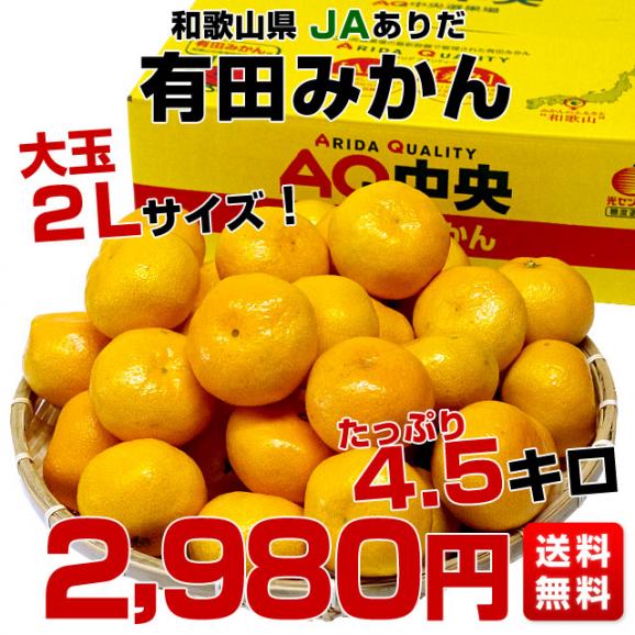送料無料 和歌山県産 JAありだAQ中央共選 有田みかん 2Lサイズ 4.5キロ(25玉から30玉前後) ミカン 蜜柑 温州みかん 早生03