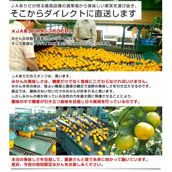 送料無料 和歌山県産 JAありだAQ中央共選 有田みかん 2Lサイズ 4.5キロ(25玉から30玉前後) ミカン 蜜柑 温州みかん 早生06