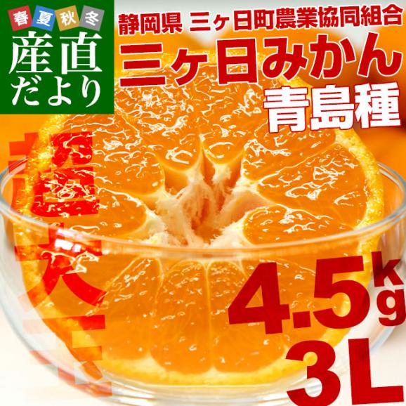 静岡県より産地直送 JAみっかび 三ケ日みかん(青島種)大玉 3Lサイズ 約4.5キロ 送料無料 ミカン 蜜柑 三ヶ日 温州みかん02