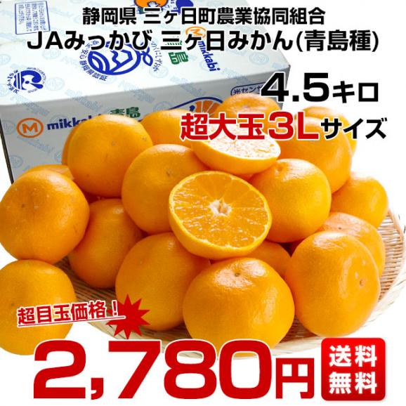 静岡県より産地直送 JAみっかび 三ケ日みかん(青島種)大玉 3Lサイズ 約4.5キロ 送料無料 ミカン 蜜柑 三ヶ日 温州みかん03