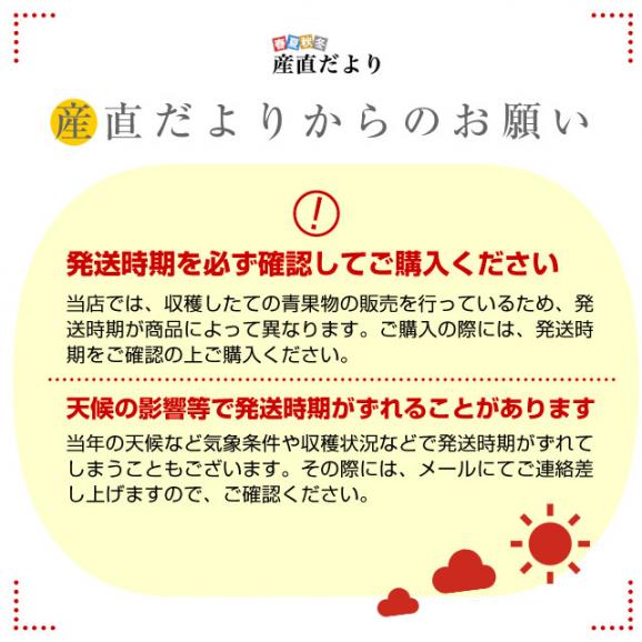 静岡県より産地直送 JAみっかび 三ケ日みかん(青島種)大玉 3Lサイズ 約4.5キロ 送料無料 ミカン 蜜柑 三ヶ日 温州みかん06