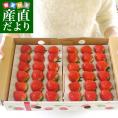   香川県より産地直送 JA香川県 さぬきひめ 800g化粧箱 (400gトレー×2P)(12から18玉×2P) 送料無料 いちご 苺 讃岐 ※クール便