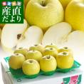 青森県より産地直送 高木商店 マルタカブランド 高木の王林 味優先の理由あり 3キロ 送料無料 林檎 リンゴ おうりん 津軽 弘前