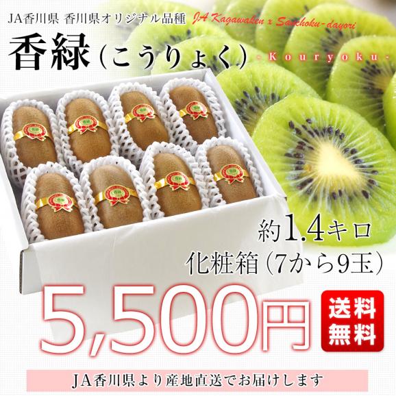 香川県より産地直送 JA香川県 キウイフルーツ 香緑(こうりょく) 　約1.4キロ化粧箱 　送料無料　(7玉から9玉前後)03