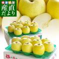 青森県より産地直送 高木商店 マルタカブランド 高木の王林 味優先の理由あり 3キロ×2箱 (9玉から11玉入×2箱) 送料無料 林檎 リンゴ おうりん 津軽 弘前