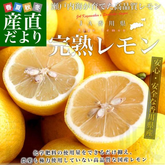 香川県から産地直送 JA香川県 完熟レモン 約5キロ (40玉から50玉前後) 送料無料  柑橘 檸檬 国産レモン02