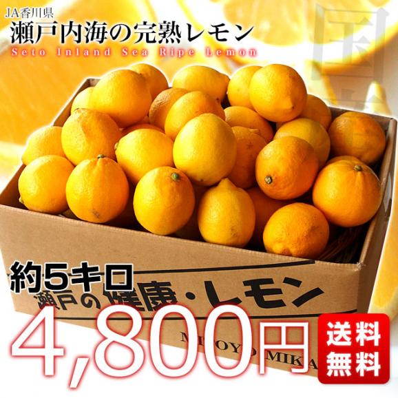 香川県から産地直送 JA香川県 完熟レモン 約5キロ (40玉から50玉前後) 送料無料  柑橘 檸檬 国産レモン03