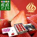 岐阜県より産地直送 JAぎふ オリジナルブランドいちご 「華かがり」 400g化粧箱 (12粒から15粒) 送料無料 苺 イチゴ 金華山