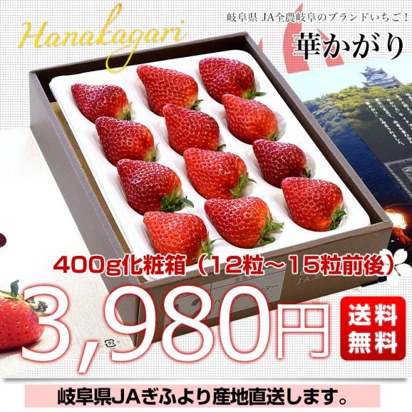 岐阜県より産地直送 JAぎふ オリジナルブランドいちご 「華かがり」 400g化粧箱 (12粒から15粒) 送料無料 苺 イチゴ 金華山03