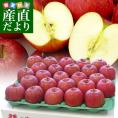 青森県より産地直送 高木商店 マルタカブランド 高木のサンふじ 秀A 小玉5キロ (23玉から25玉入) 送料無料 林檎 リンゴ 津軽 弘前