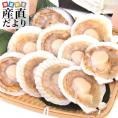 北海道より直送 北海道産殻付きホタテ　焼きホタテ用20枚セット 合計1.2キロ　(ホタテ10枚入り×2袋)　 送料無料 帆立 ほたて
