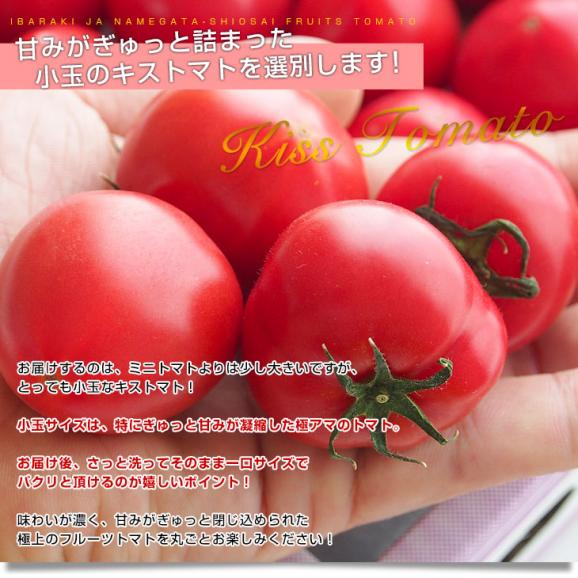 茨城県より産地直送　JAなめがたしおさい　フルーツトマト　キストマト　Sサイズ　約1キロ（17から25玉）04