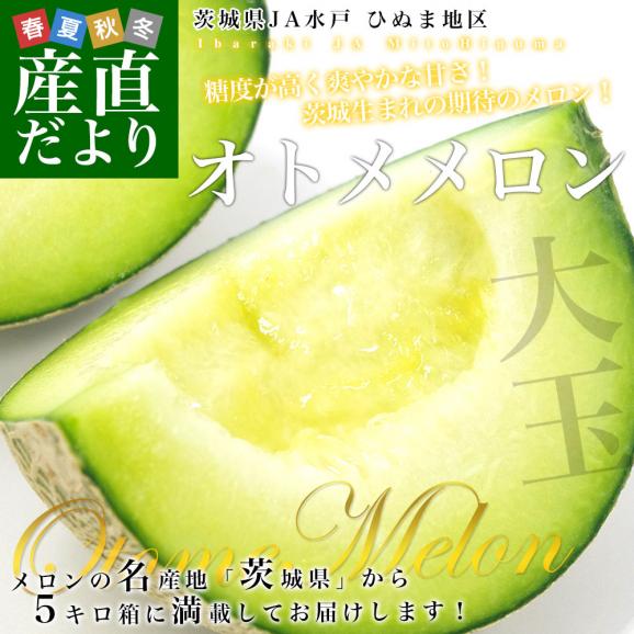 茨城県より産地直送 JA水戸 ひぬま地区 オトメメロン 大玉の4Lから3L 5キロ箱 (3玉から4玉) 送料無料 青肉メロン めろん02