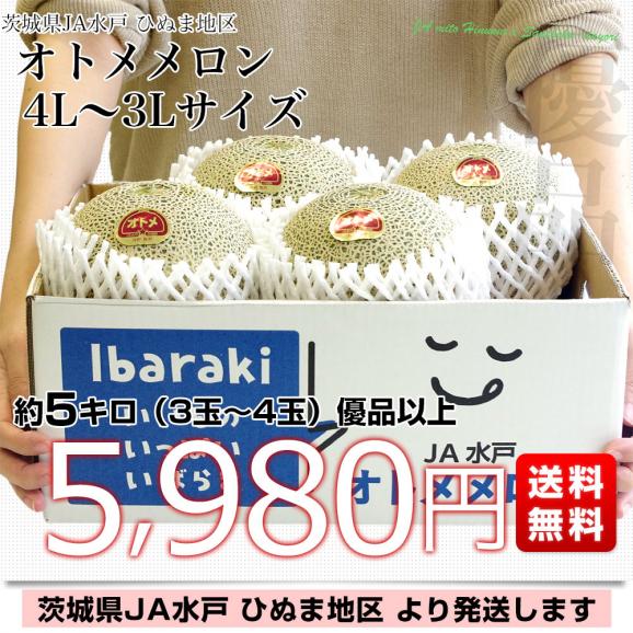 茨城県より産地直送 JA水戸 ひぬま地区 オトメメロン 大玉の4Lから3L 約5キロ (3玉から4玉) 送料無料 青肉メロン めろん03