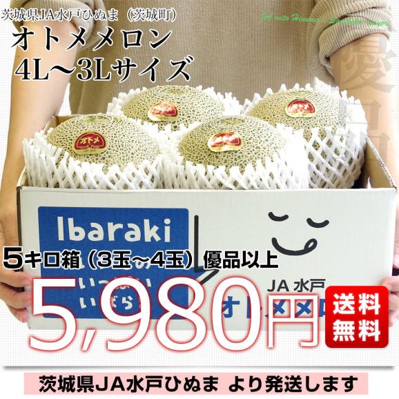 茨城県より産地直送 JA水戸ひぬま オトメメロン 大玉の4Lから3L 5キロ箱 (3玉から4玉) 送料無料 青肉メロン めろん03