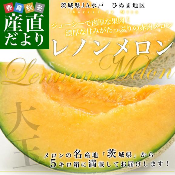 茨城県より産地直送 JA水戸　ひぬま地区 レノンメロン(赤肉) 4Lから3L 5キロ箱（3玉から4玉） 送料無料 赤肉メロン02