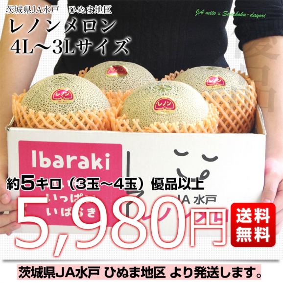 茨城県より産地直送 JA水戸　ひぬま地区 レノンメロン(赤肉) 4Lから3L 約5キロ（3玉から4玉） 送料無料 赤肉メロン03