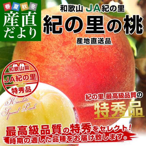 和歌山県より産地直送 JA紀の里 紀の里の桃 特秀品 1.8キロ (6玉から8玉) 送料無料 桃 もも02