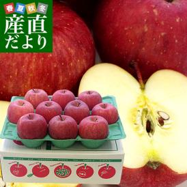 送料無料　青森県より産地直送　JA津軽みらい　ふじりんご　CA貯蔵品　3キロ（10玉） 林檎　リンゴ　※クール便