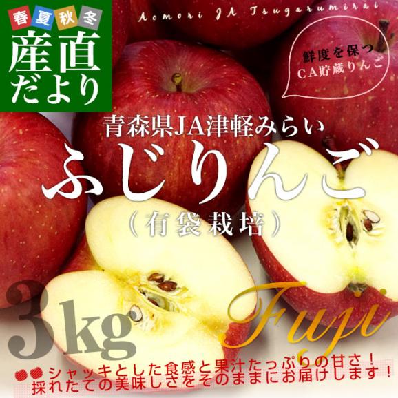 送料無料　青森県より産地直送　JA津軽みらい　ふじりんご　CA貯蔵品　3キロ（10玉） 林檎　リンゴ　※クール便02