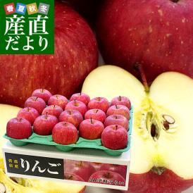 送料無料　青森県より産地直送　JA津軽みらい　ふじりんご　CA貯蔵品　5キロ（18玉） 林檎　リンゴ　※クール便