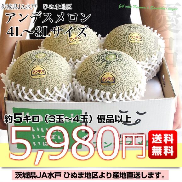 茨城県より産地直送 JA水戸　ひぬま地区  アンデスメロン 優品以上 4Lから3L 約5キロ (3玉から4玉) 送料無料 めろん03