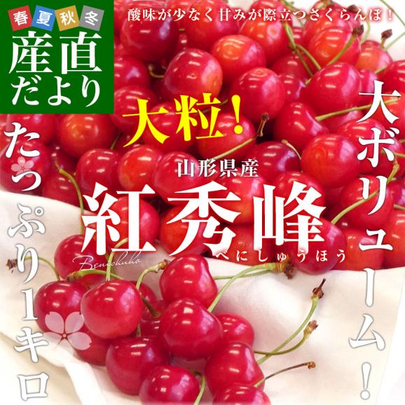 山形県より産地直送 さくらんぼ「紅秀峰」秀品 2Lサイズ 約1キロ(500g×2) 送料無料 クール便 サクランボ 桜桃02