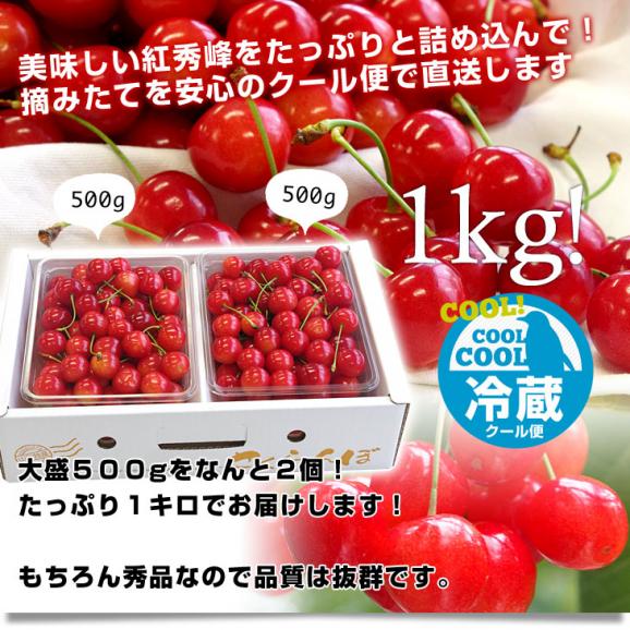 山形県より産地直送 さくらんぼ「紅秀峰」秀品　2Lサイズ　約1キロ（500g×2） 送料無料 クール便　サクランボ　桜桃05