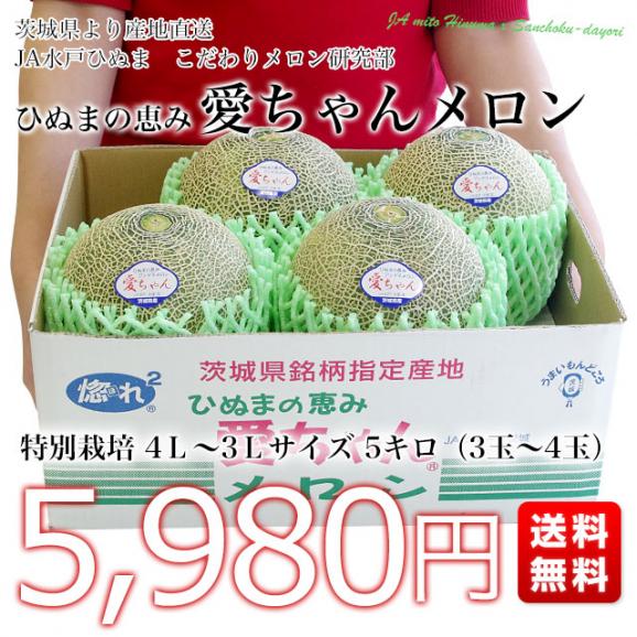 茨城県より産地直送 JA水戸ひぬま こだわりの特別栽培メロン ひぬまの恵み「愛ちゃんメロン」 4Ｌから3Ｌサイズ 5キロ箱 (3玉から4玉) アンデスメロン03