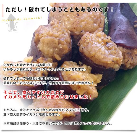 送料無料　北海道　森町名産　訳あり　お手軽いかめし　カット済　240g×10袋セット05