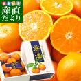 送料無料 佐賀県より産地直送 JAからつ ハウスみかん 秀品 Sサイズ 1キロ(12玉入) 化粧箱 ミカン 蜜柑