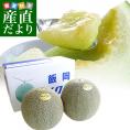 送料無料 千葉県飯岡産 向後さんの貴味メロン 秀品以上 4Lから5Lサイズ (1.3キロから1.5キロ)×2玉 市場発送 タカミメロン