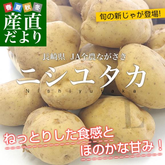 送料無料　長崎県産　JA全農ながさき　じゃがいも（ニシユタカ）　Lサイズ　10キロ　市場発送　馬鈴薯　ばれいしょ02