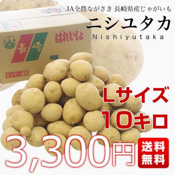 送料無料　長崎県産　JA全農ながさき　じゃがいも（ニシユタカ）　Lサイズ　10キロ　市場発送　馬鈴薯　ばれいしょ03